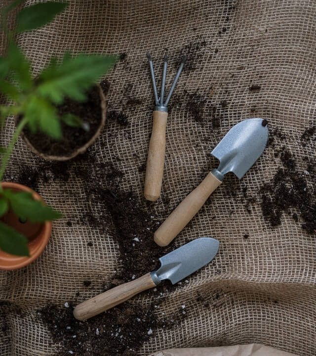 gardening-tools.jpg